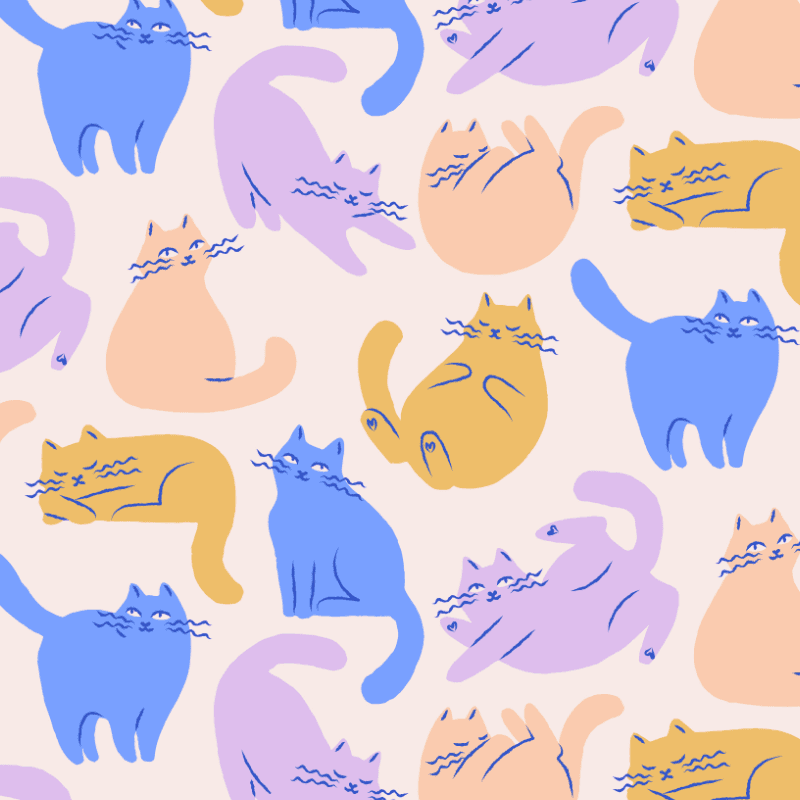Playful Cats